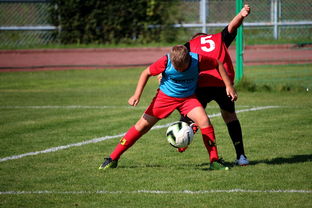 kaiyun 开云体育-体育赛事志愿者管理及培训体系建设，体育赛事志愿者的工作要求