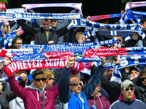 开云体育登陆入口-球迷文化盛宴：从欧洲到亚洲的足球狂欢，中国足球球迷文化