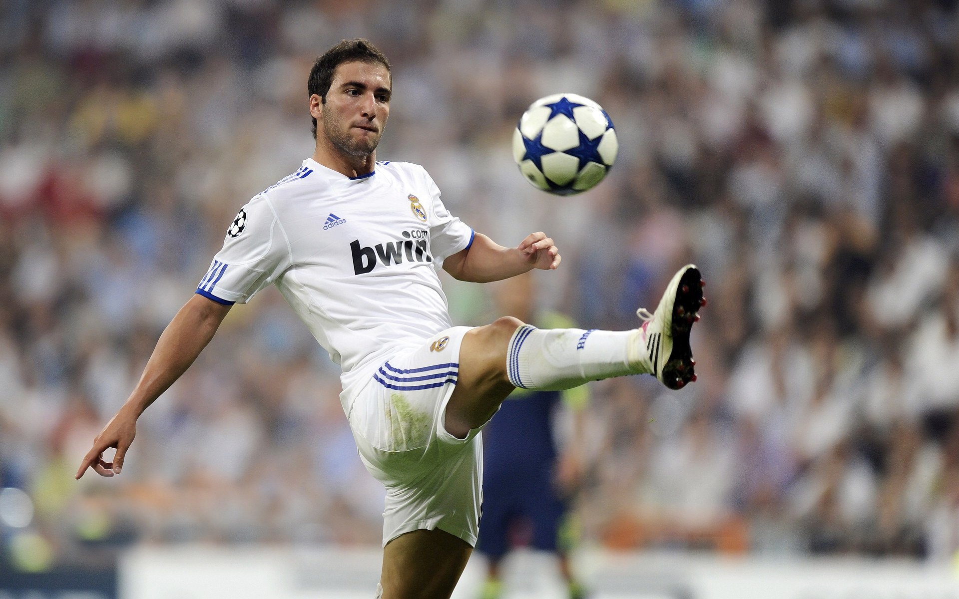 国家队在赛后对未来阵容做出规划并公开部分名单，国家队还有后续吗